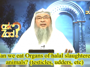Can we eat all the Organs of halal slaughtered animals like Testicles, Udder etc?