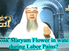 Soak Maryam Flower in water during delivery to relieve labor pains
