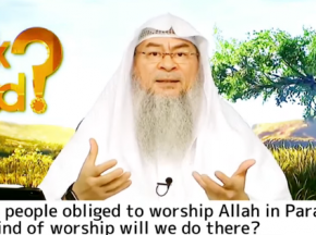 Are people obliged to worship Allah in Paradise, What kind of worship will we do there?