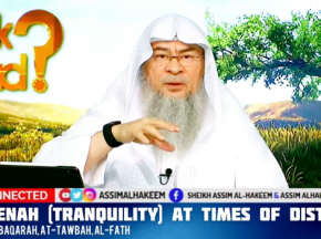 Reciting Ayahs of Sakeenah (Tranquility) at times of distress