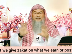 Must we give zakat on what we earn or what we possess?