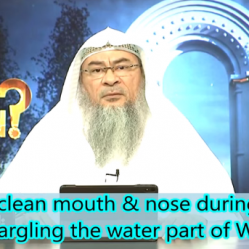 How to rinse your Mouth and Nose while making Wudu & Ghusl?