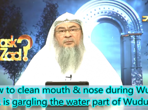 How to rinse your Mouth and Nose while making Wudu & Ghusl?