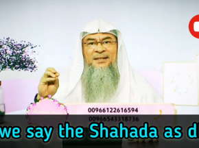 Can we say the Shahada (la ilaha illa Allah Muhammadur Rasool Allah) as Dhikr?