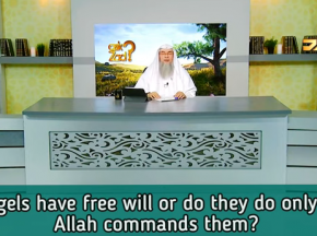 Do Angels have free will or do they do only what Allah commands them to do?