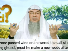 If one passes wind or urinates during ghusl, must he redo ghusl or redo the wudu?