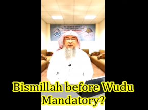 Is it mandatory to say Bismillah before making wudu?