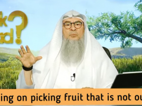 Ruling on plucking fruit that is not ours