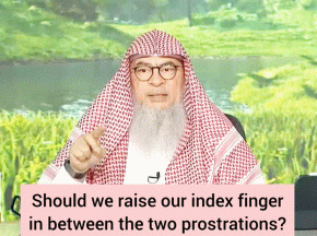 Should we raise our index finger in between the two sujood/ prostrations as well?