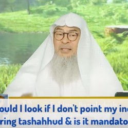 I don't move index finger, don't look at it Where to look at? Is prayer valid #Assim